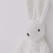 Saの画像