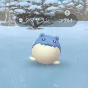 ホリポヨの画像