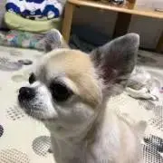 ジヨンママの画像