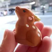 EuKlaceの画像