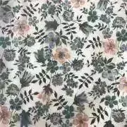 レナ［Lotus］の画像
