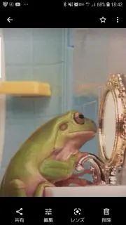 ゆこっきーの画像
