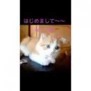 嶋尾百合江