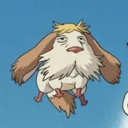 ぷるの画像