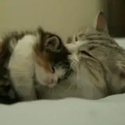 ♡れん♡