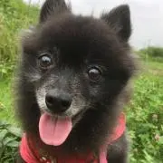 かばん