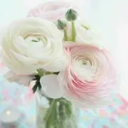 ໒꒱えみゅう໒꒱お値下げ頑張ります❤︎