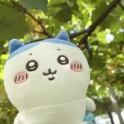 nk.の画像