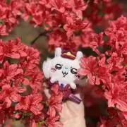 なー(プロフ必読)の画像