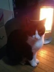 and meの画像