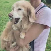 ほのぼの