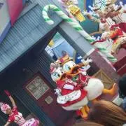 アツコの画像