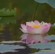こころ