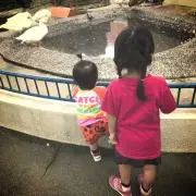 ど根性sakiみかん♭
