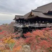 なぁみの画像
