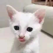 ナナクラの画像