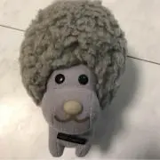 ゆきまろの画像
