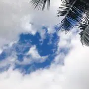 ああの画像