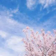 Haruの画像
