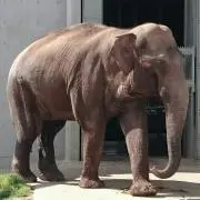 ☆なすひま☆