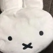 安藤の画像