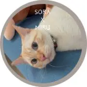 冬物セール古着♦︎Sora×Miruの画像