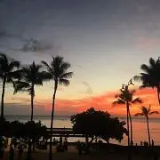 明太子