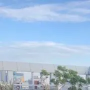 文香の画像