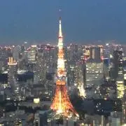 まげの画像