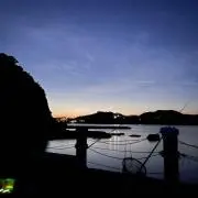 パンジィ〜