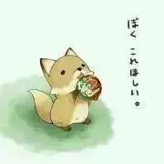 いつでもSALE@プロフ確認の画像