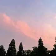 Anaの画像