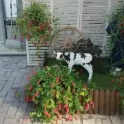 なつけんの画像