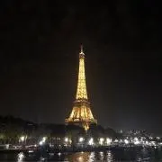 すみれの画像
