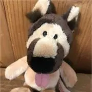 かすぴおの画像