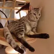 コウイチ