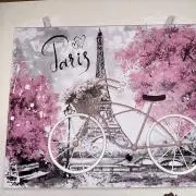 コナライの画像