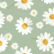 miy