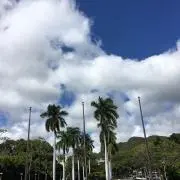cotoの画像
