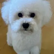 ♡るな♡ちゃんパパ