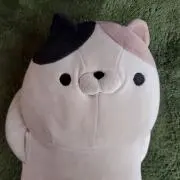 haramitanの画像