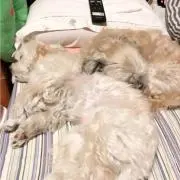 ロルダン