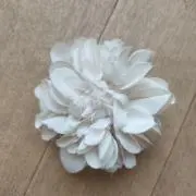 t.t.