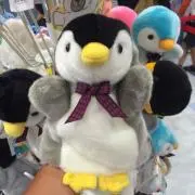 タカ