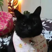 ジュンの画像
