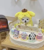 momo♡断捨離中の画像