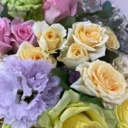 Knn☆の画像