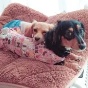 くちり