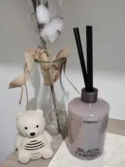 てんの画像