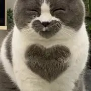 Onewchanの画像